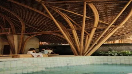 Sàn tre Dasso - Sản phẩm Trelife tin tưởng phân phối độc quyền