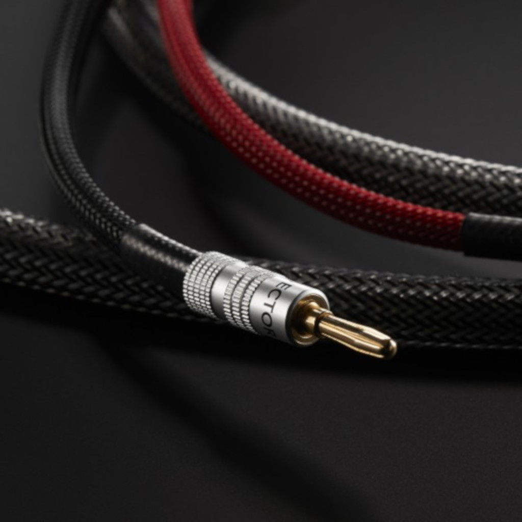 Dây Loa Audiovector ZERO Compression Avantgarde Arreté