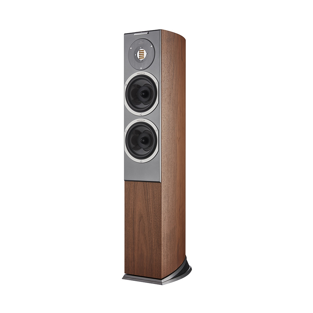 Loa Cây (floorstanding) Audiovector R 3 Arreté