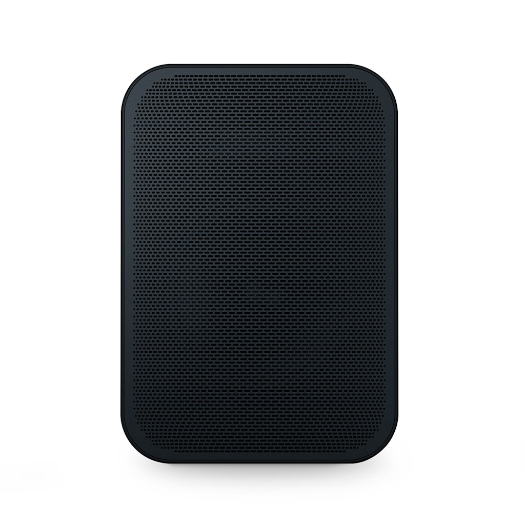 Loa Di Động Không Dây Bluesound Pulse Flex 2i