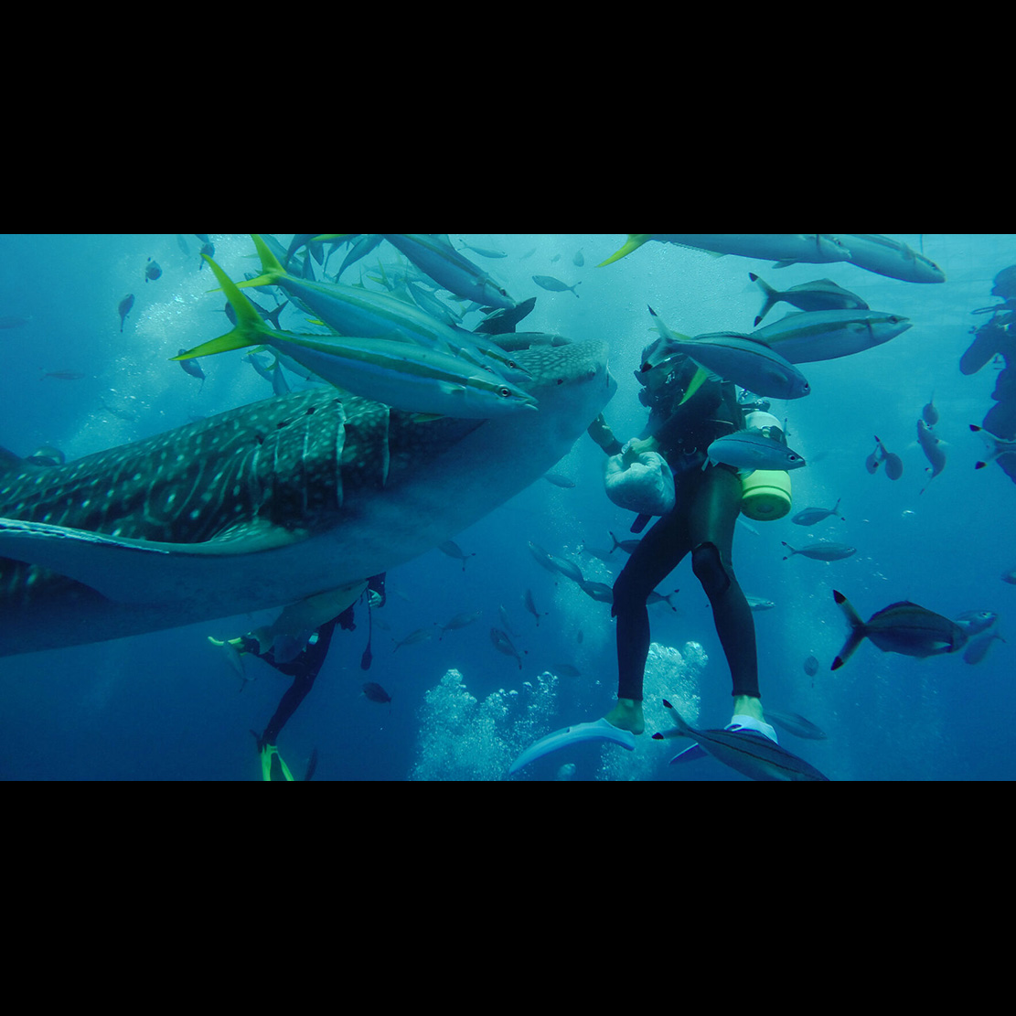 Vỏ Bảo Vệ Máy Quay GoPro Super Suit