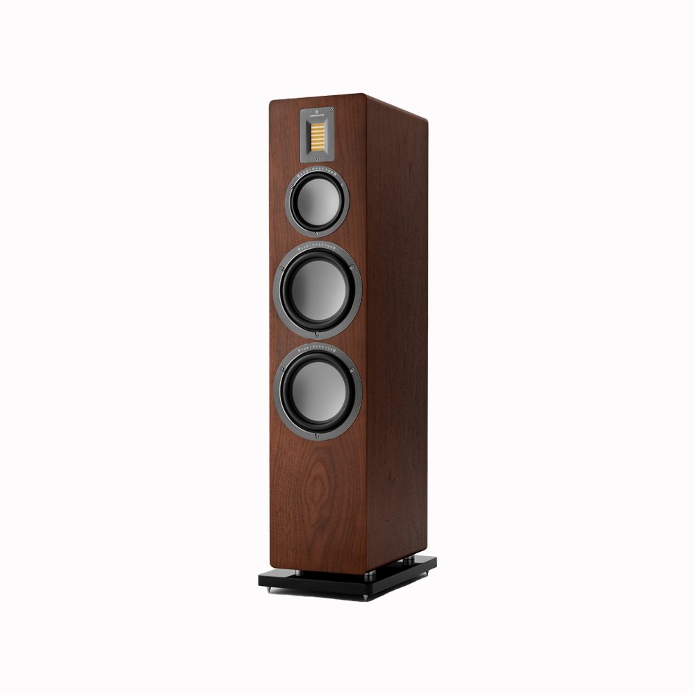 Loa Cây (Floor Standing) Audiovector QR 7