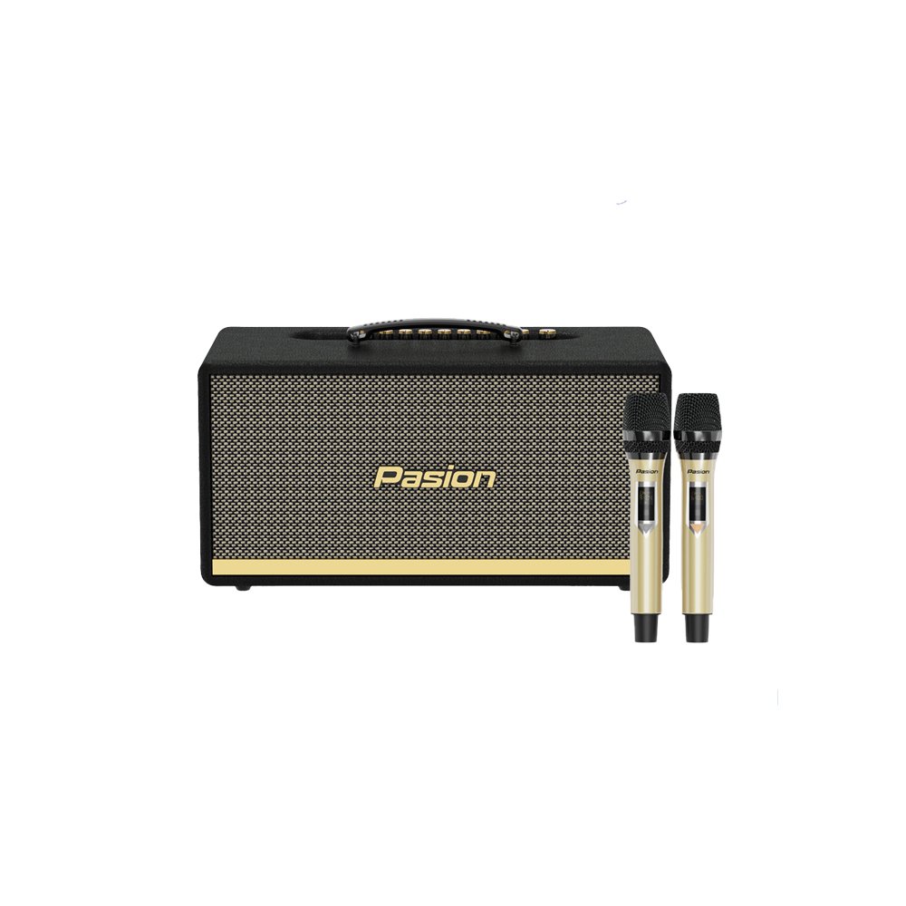 Loa di động hát karaoke kèm micro Paramax Pasion 2