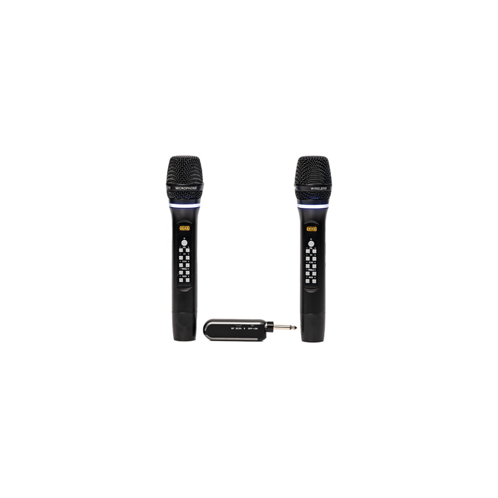 Micro Không Dây Karaoke WMS M2