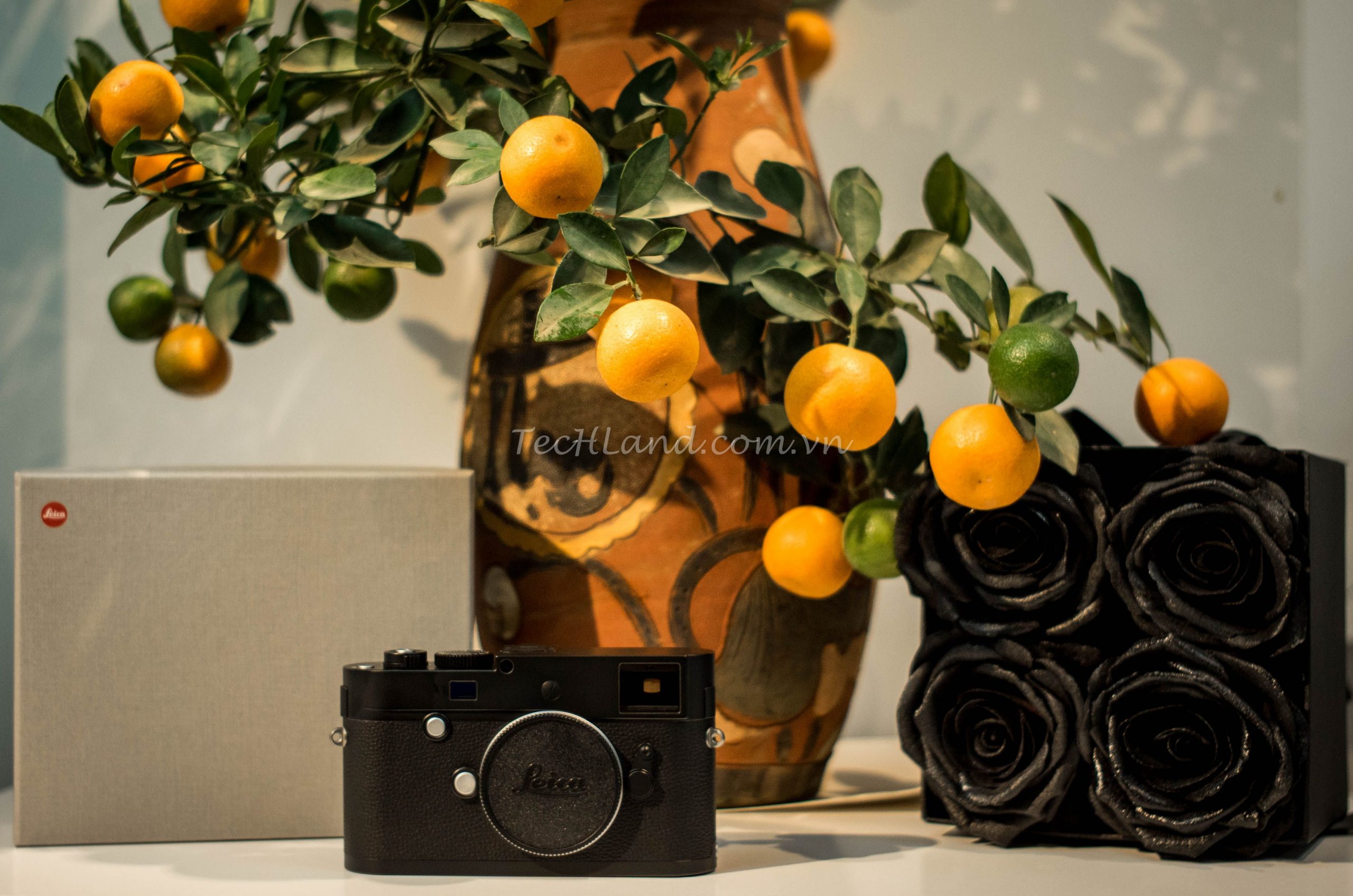 MÁY ẢNH LEICA M MONOCHROM: KHI SỰ SÁNG TẠO ẨN GIẤU TRONG VẺ HOÀI CỔ